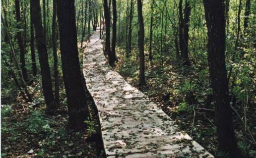 24_Gaujos takas_0.jpg